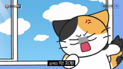 비마이펫_과거로돌아간 삼색이